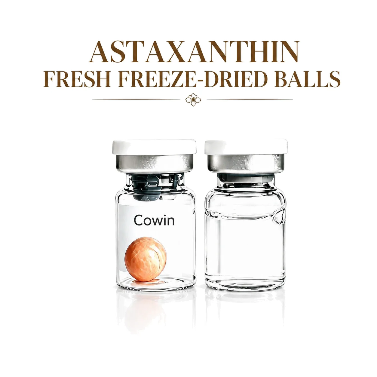 Freeze-Dried Balls — Reference 05 — format reference