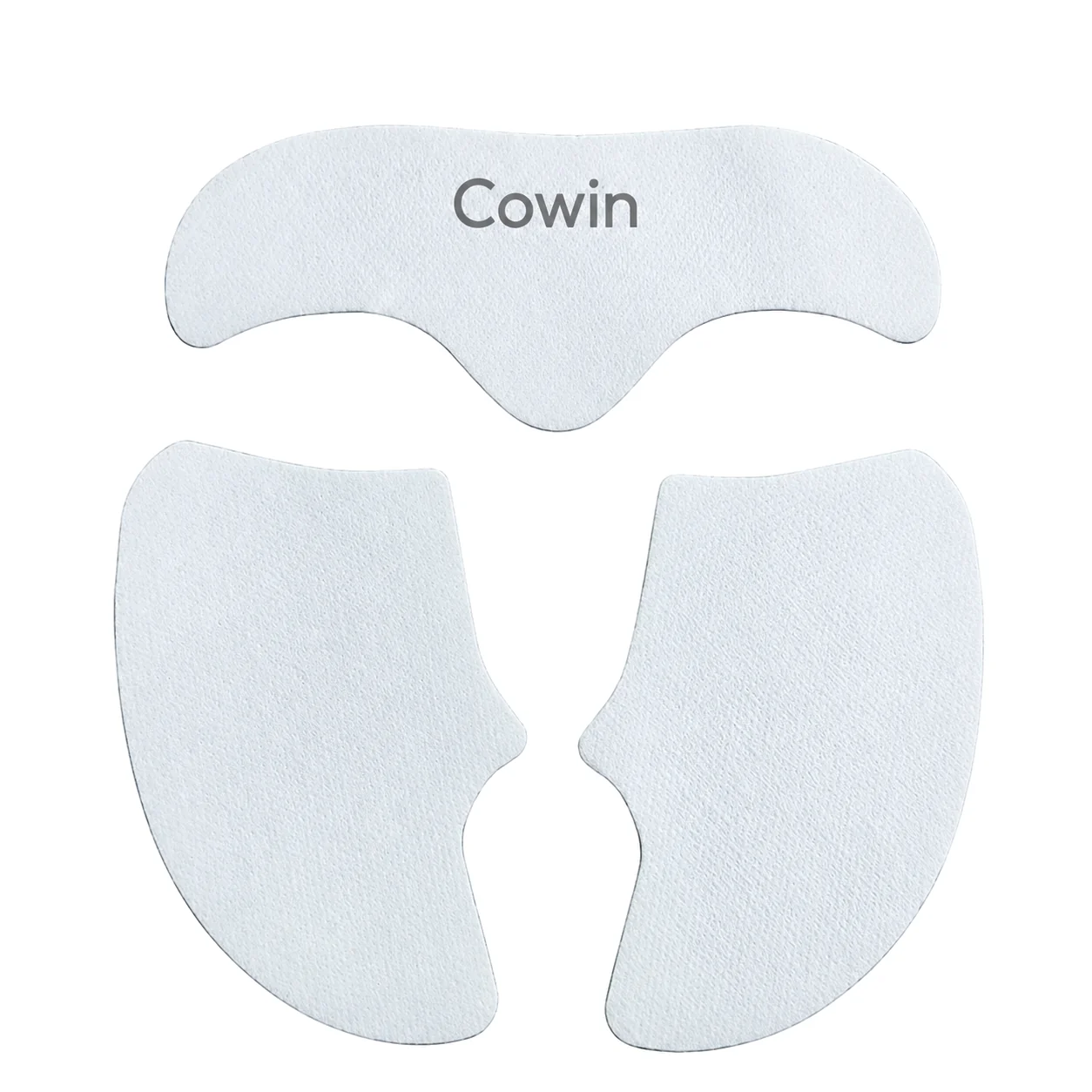 Freeze-Dried Facial Masks — Reference 10 — format reference