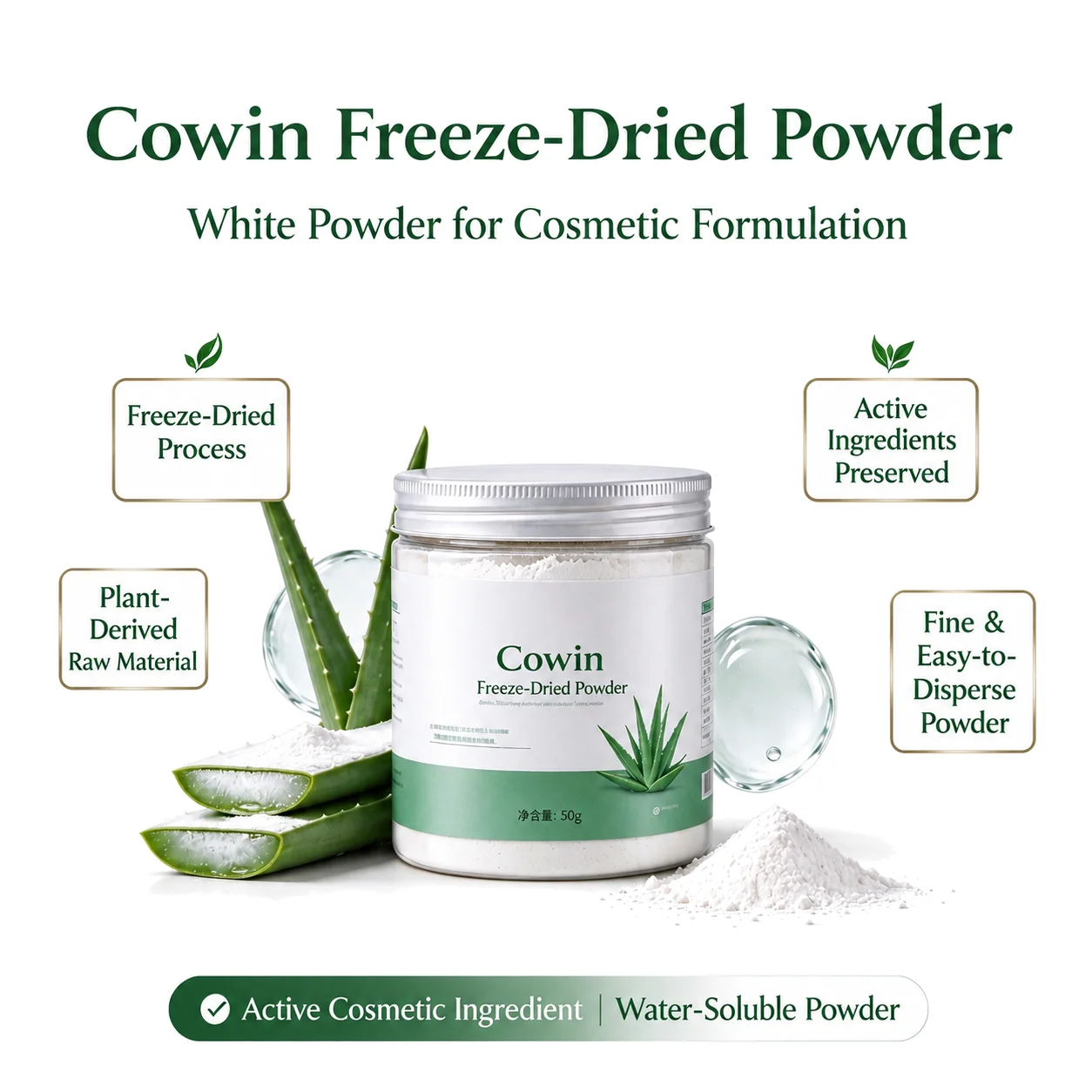 Freeze-Dried Powders — Reference 04 — format reference