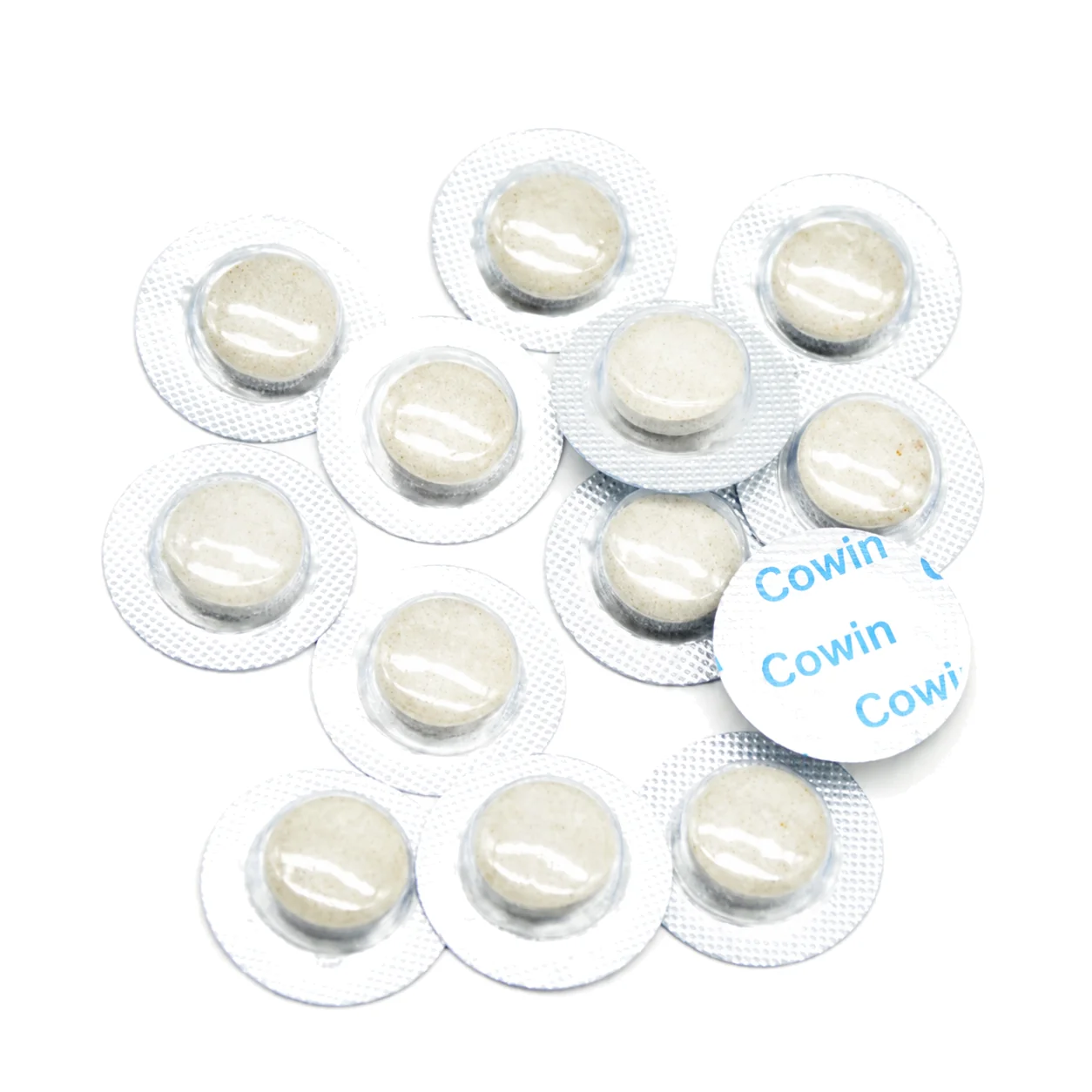 Freeze-Dried Tablets — Reference 01 — format reference